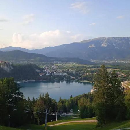 Apartment Mojca Near Bled Zabreznica Dış mekan fotoğraf
