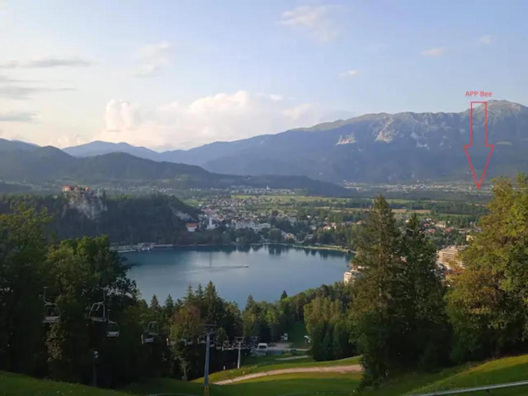 Apartment Mojca Near Bled Zabreznica Dış mekan fotoğraf