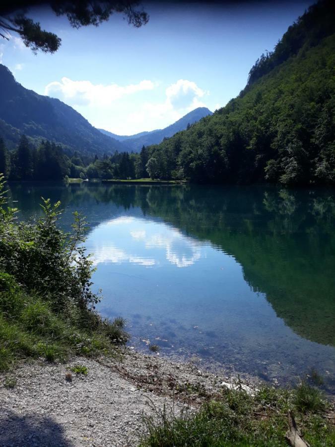Apartment Mojca Near Bled Zabreznica Dış mekan fotoğraf